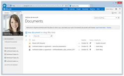 Secure document sharing with your colleagues, partners or customers, manage projects, calendars, offline access